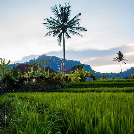 Pelangi Villas Sidemen By Agata ภายนอก รูปภาพ